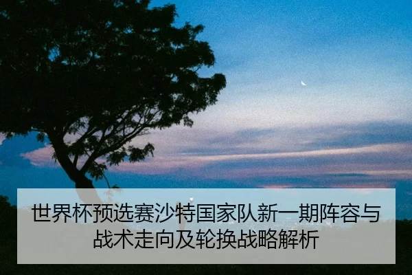 世界杯预选赛沙特国家队新一期阵容与战术走向及轮换战略解析